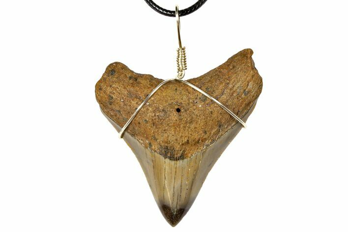 Fossil Megalodon Tooth Necklace #130917